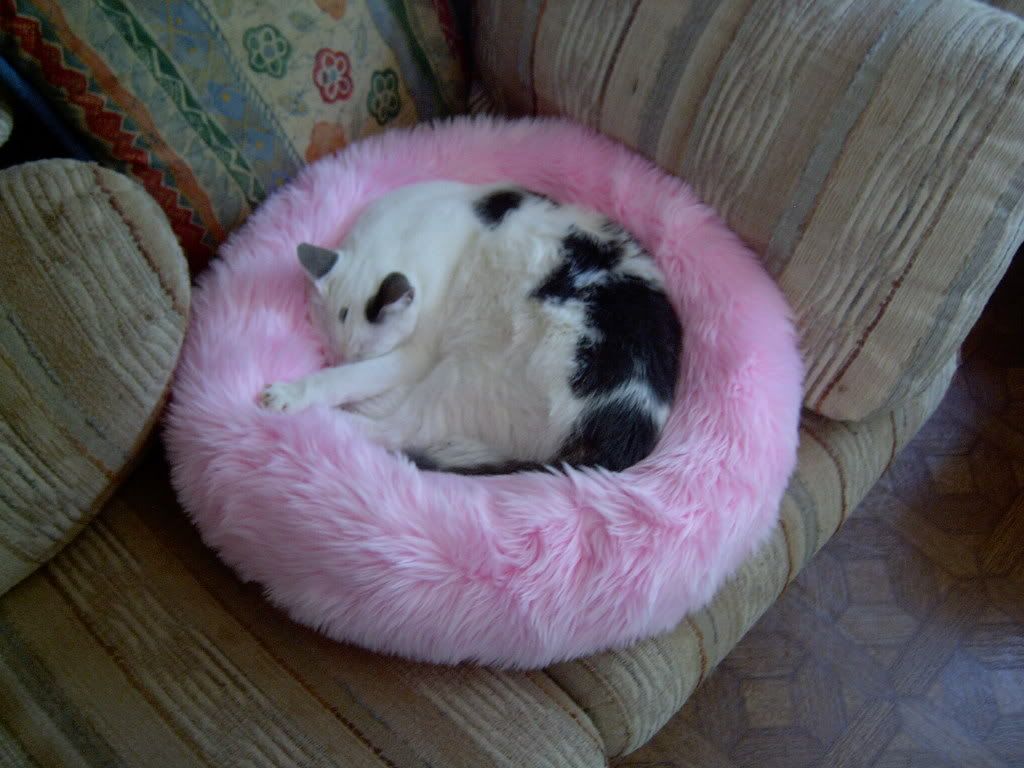 sweeeps.jpg