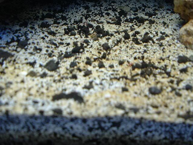 DSCF0299.jpg