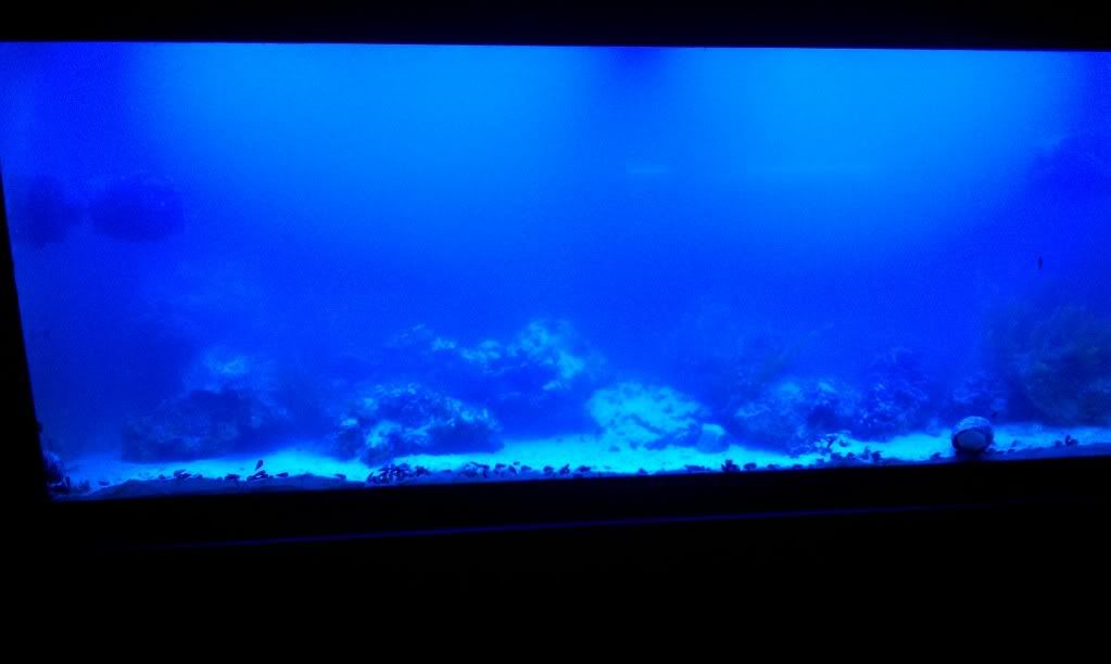 IMAG0099.jpg