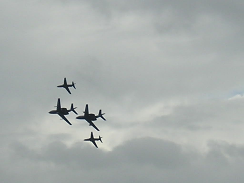 waddington101.jpg