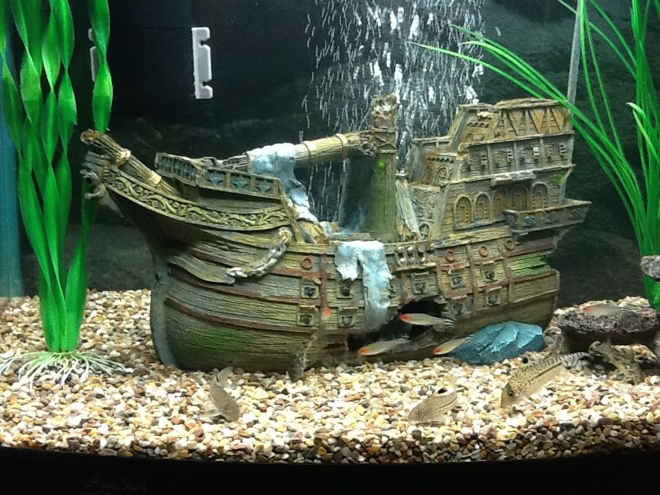1111tank.jpg