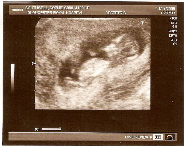 12weeks1.jpg
