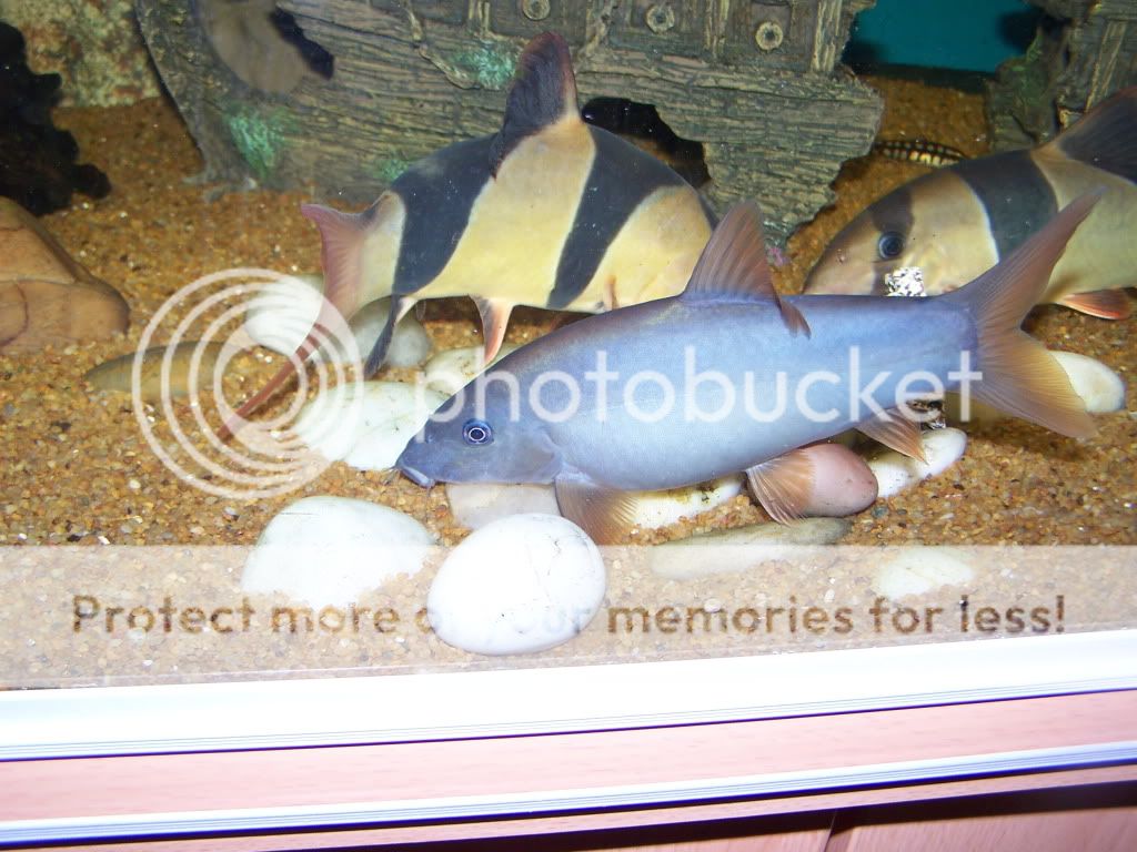 100_6027.jpg