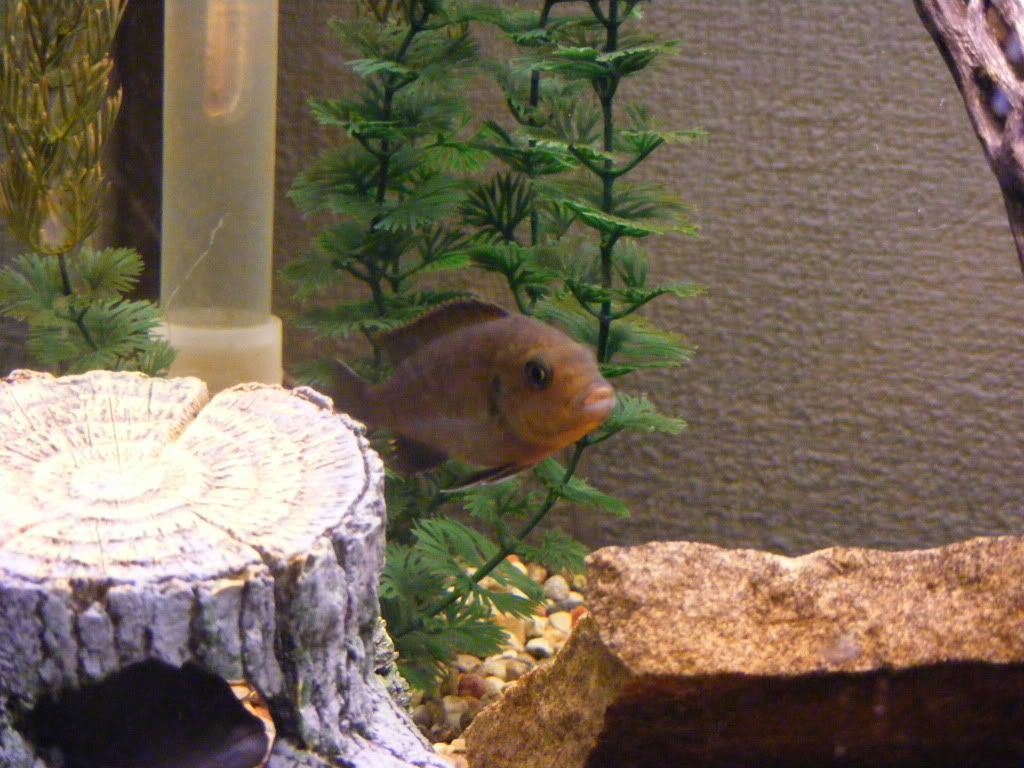 DSCF3049.jpg
