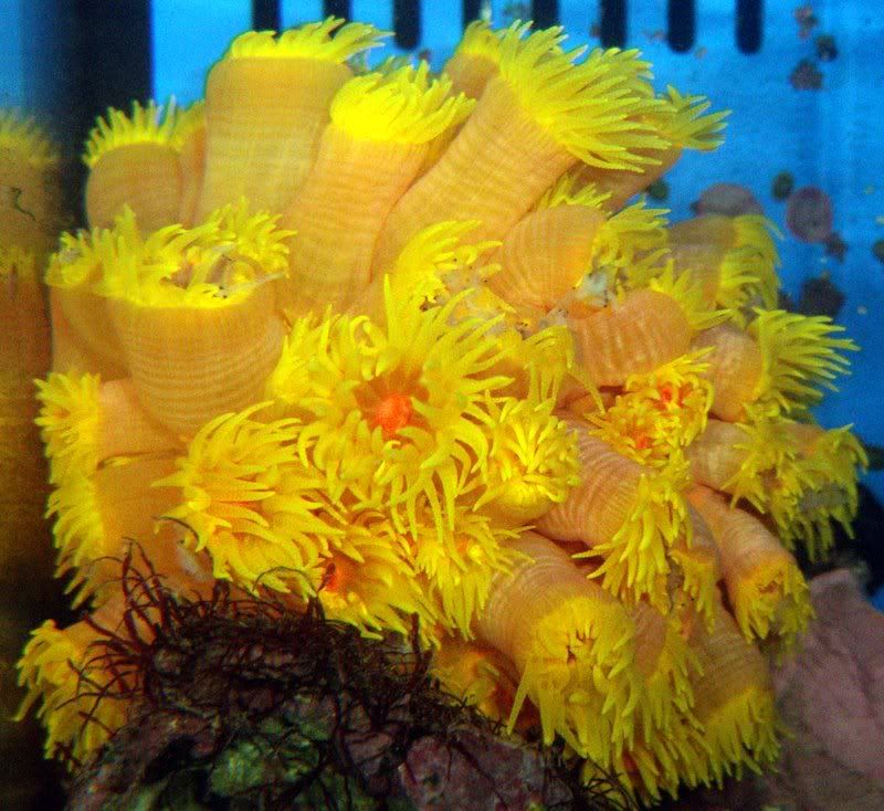 DSCF8156.jpg