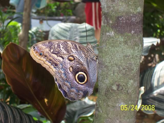 100_3238.jpg