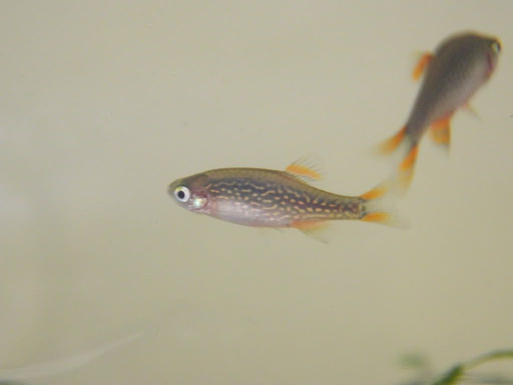 DSCN1002.jpg