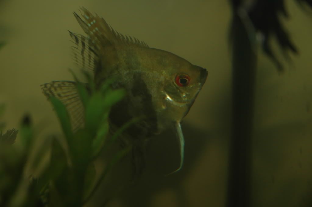 DSC_4855.jpg