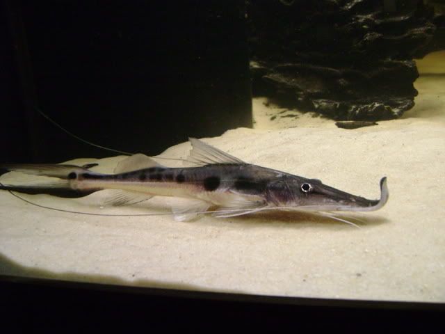 DSC01044.jpg