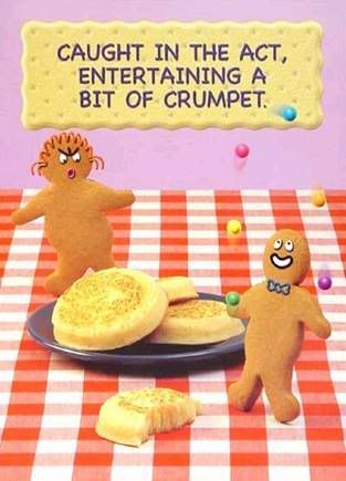 ginger6.jpg