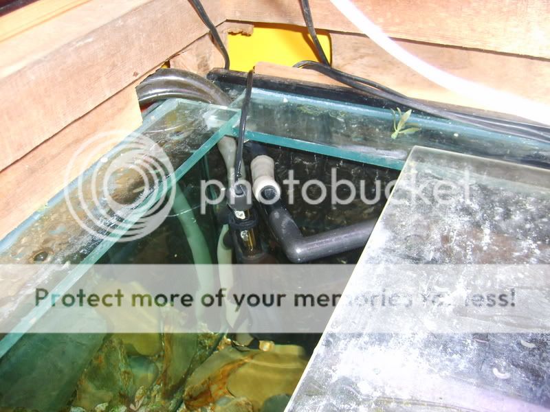 m007.jpg