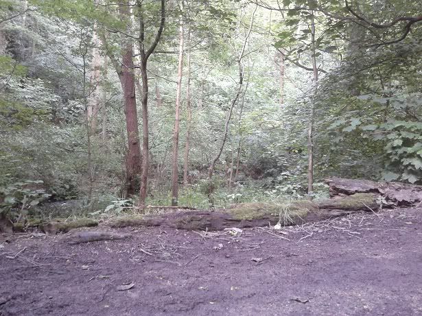2012-06-20194430.jpg