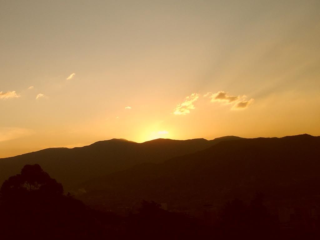 S5007750.jpg