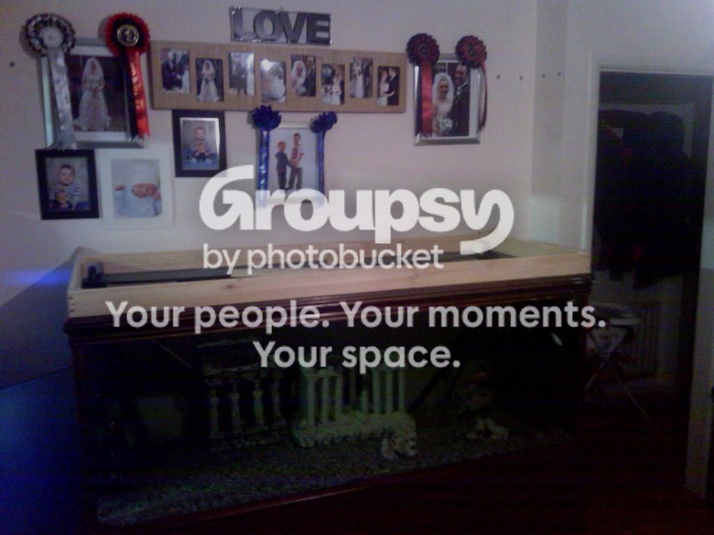 IMG_20121106_230933.jpg