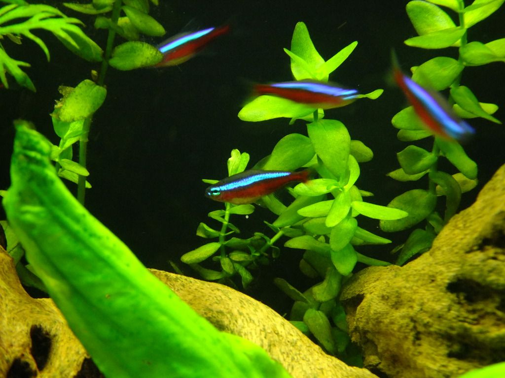 DSCF4033.jpg