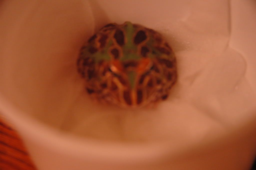 DSC_4144.jpg