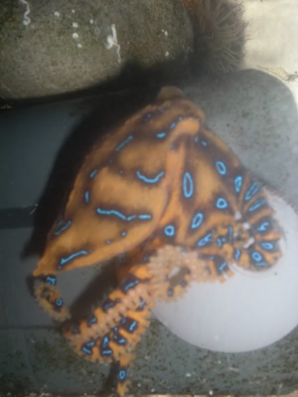 DSCF8150.jpg