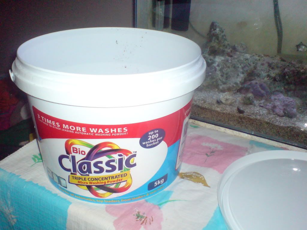 DSC00700.jpg