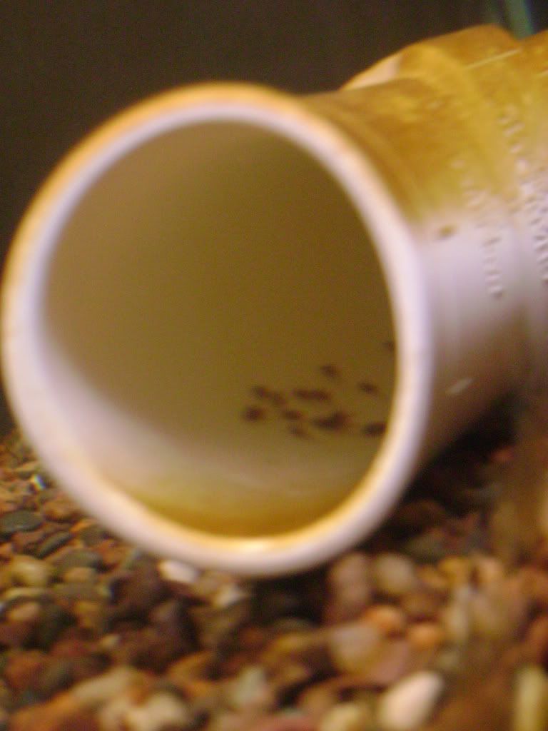 003-22.jpg