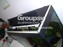 lid3.jpg