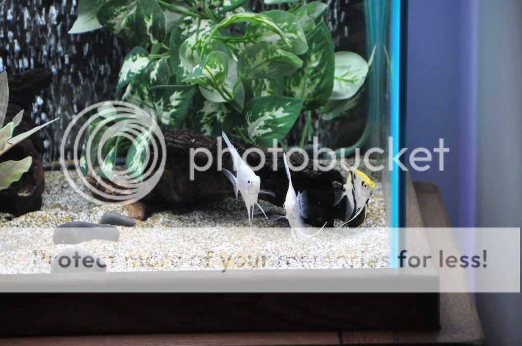 DSC_1210.jpg