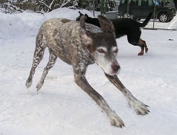 koikkaloikka.jpg