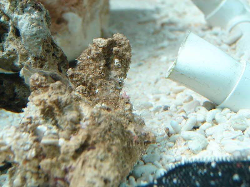 DSC02435.jpg