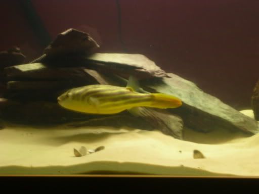 DSCN1848.jpg