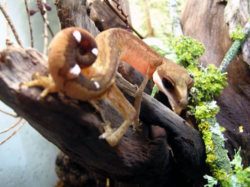 DSCN8710.jpg