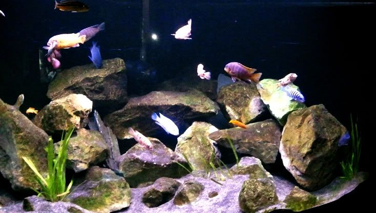 Photo0203.jpg