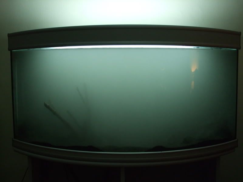 DSCF2237.jpg