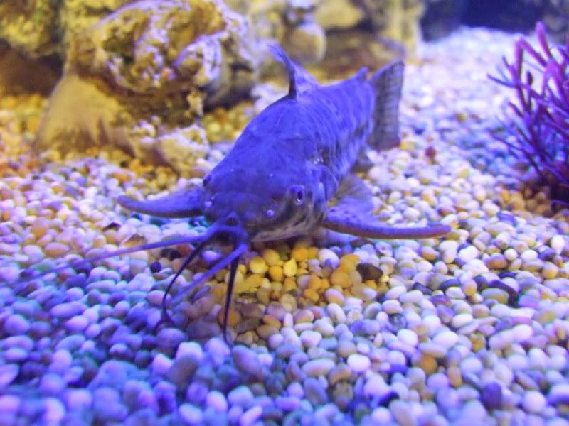 DSCF3659.jpg
