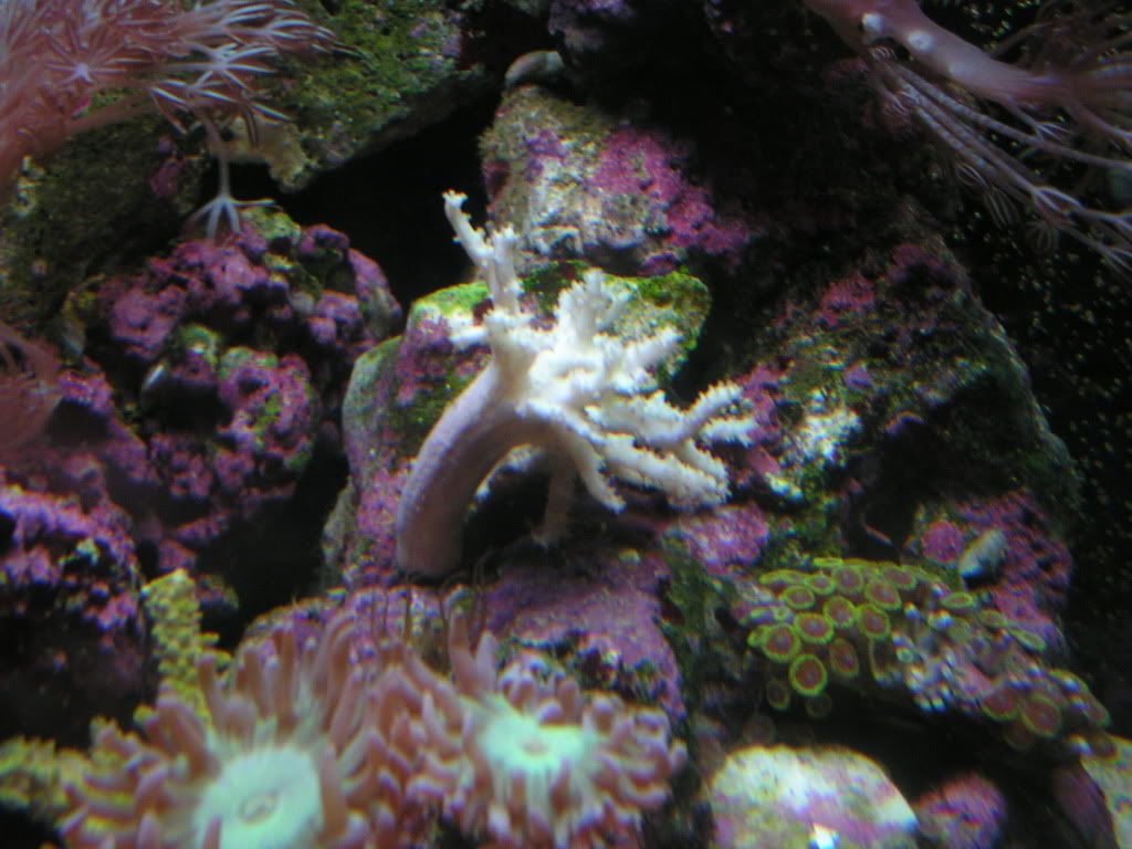 PICT1473.jpg