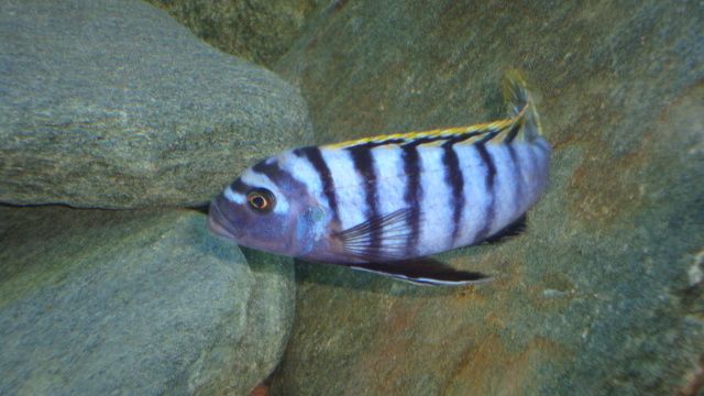 DSC03010.jpg