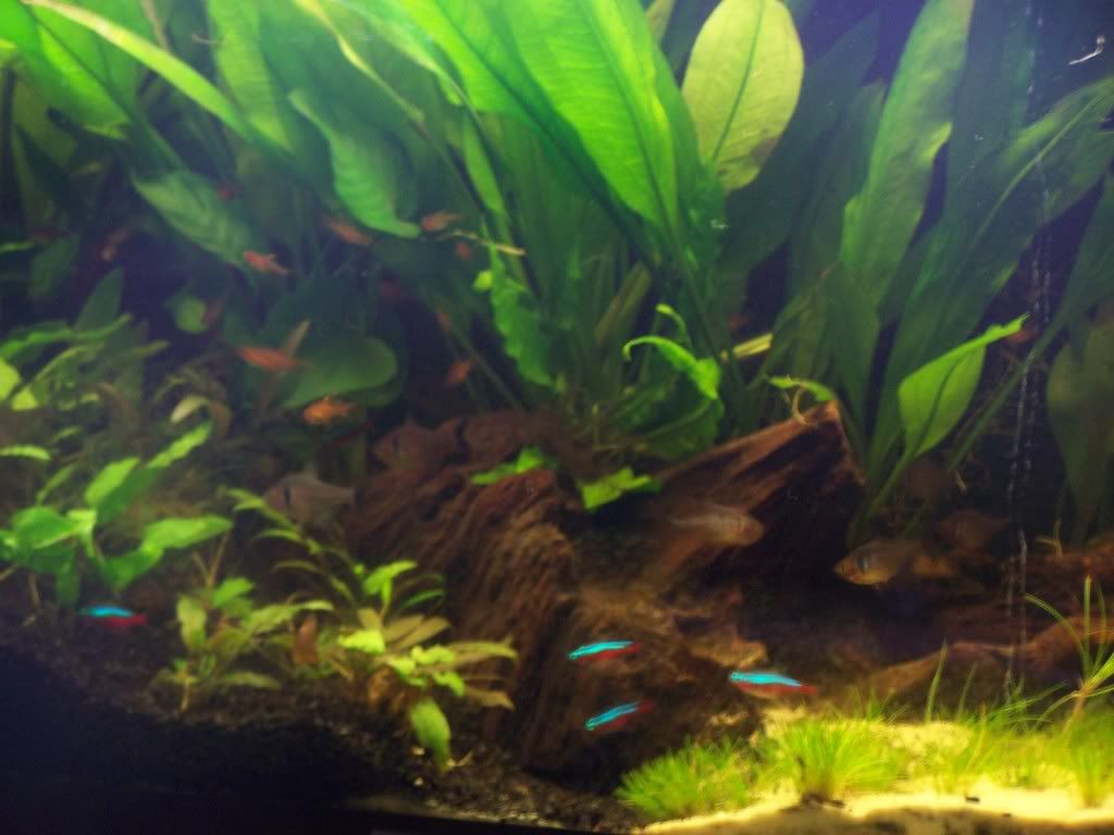 100_1571.jpg
