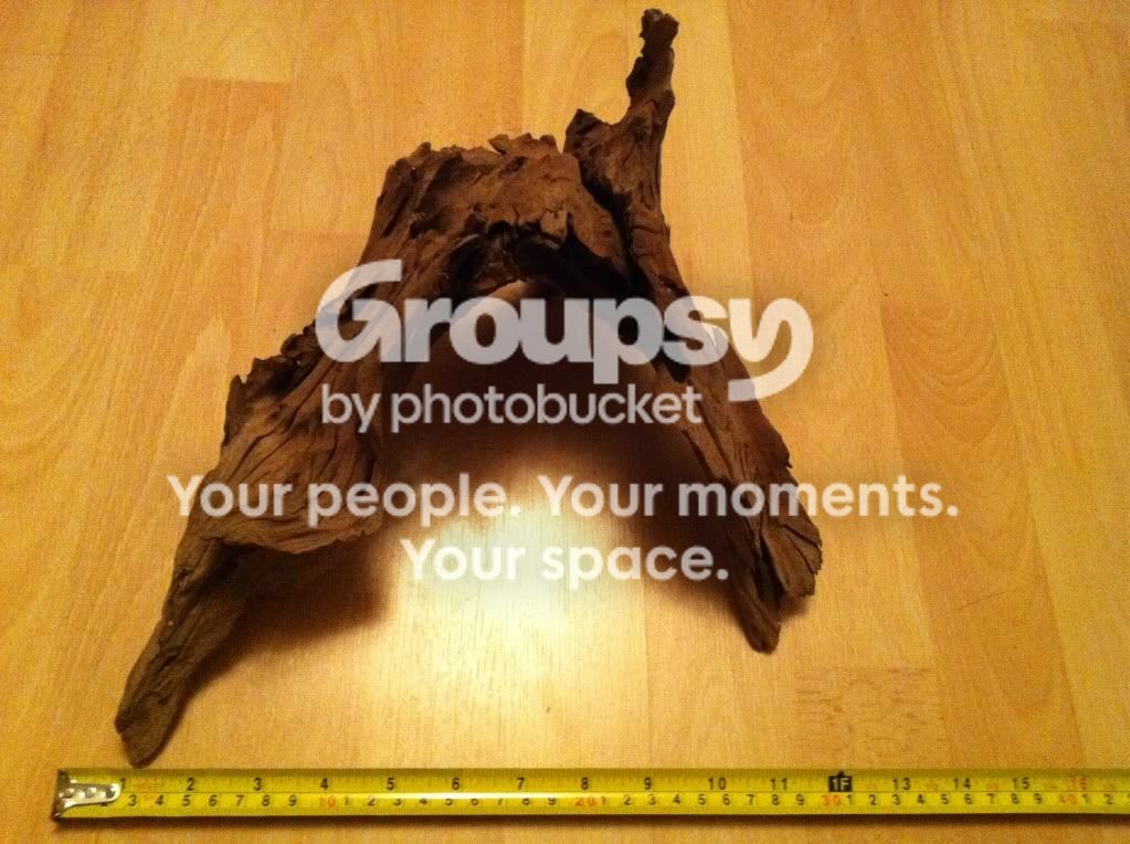 photo-1.jpg