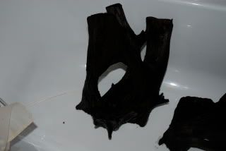 DSC_3825.jpg