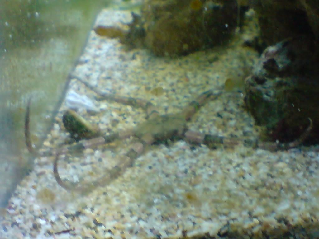 DSC00713.jpg