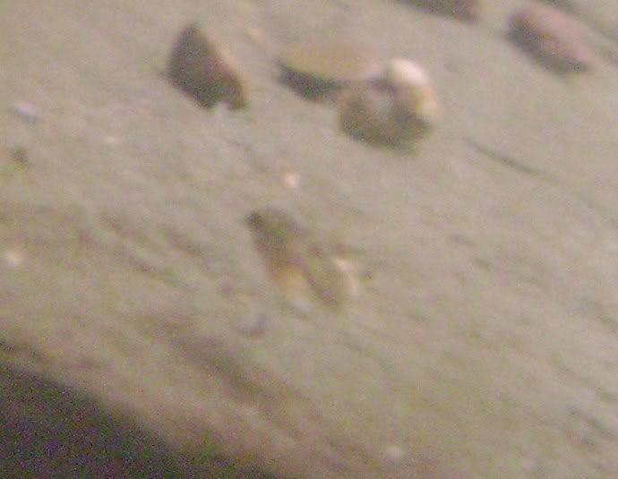 034-3.jpg