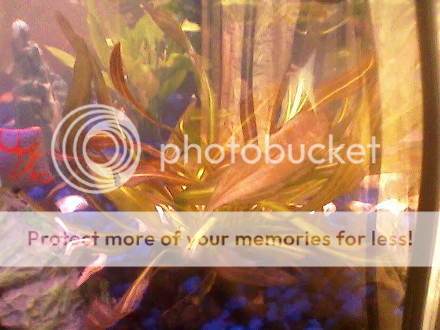 Photo-0207.jpg