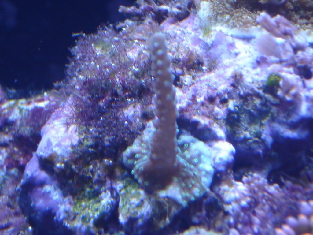 DSC01330.jpg