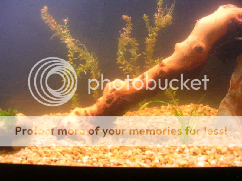 DSCN2531.jpg