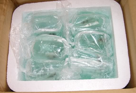 InsideofBox.jpg