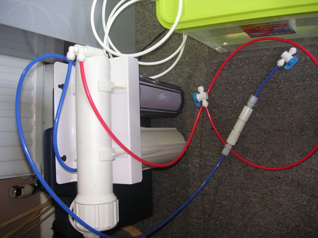 PICT0133.jpg