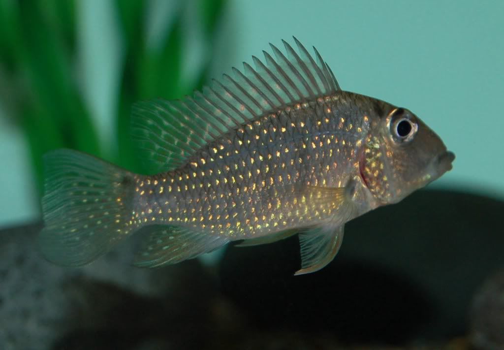 john020111.jpg