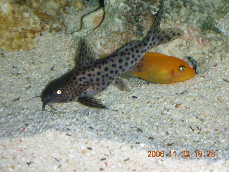 DSCN1397.jpg