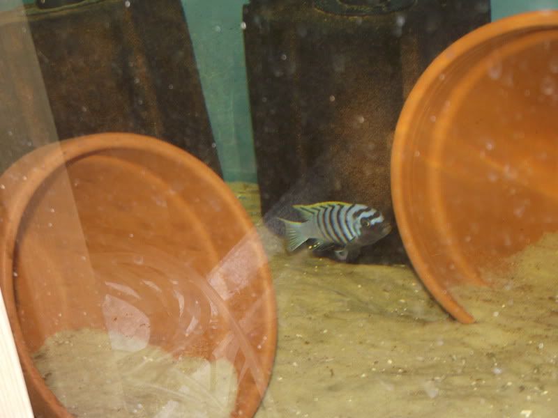 DSCF6297.jpg