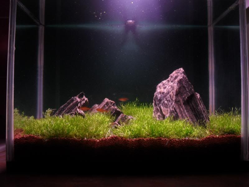 nanobackground.jpg