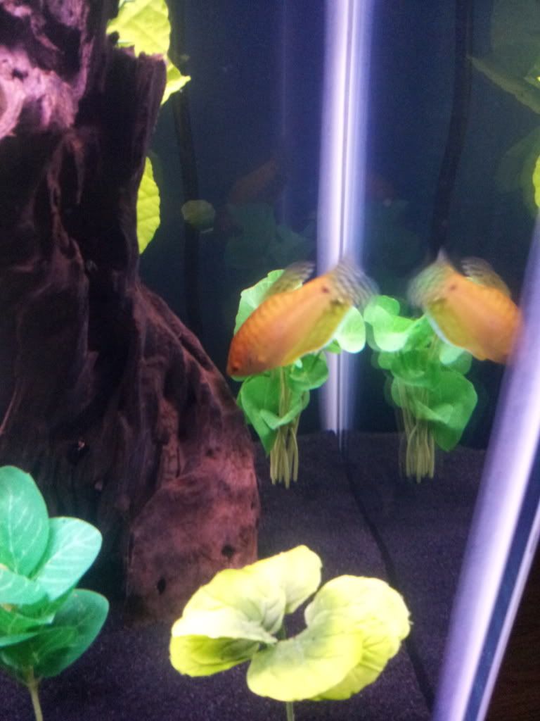 20120120_144354.jpg