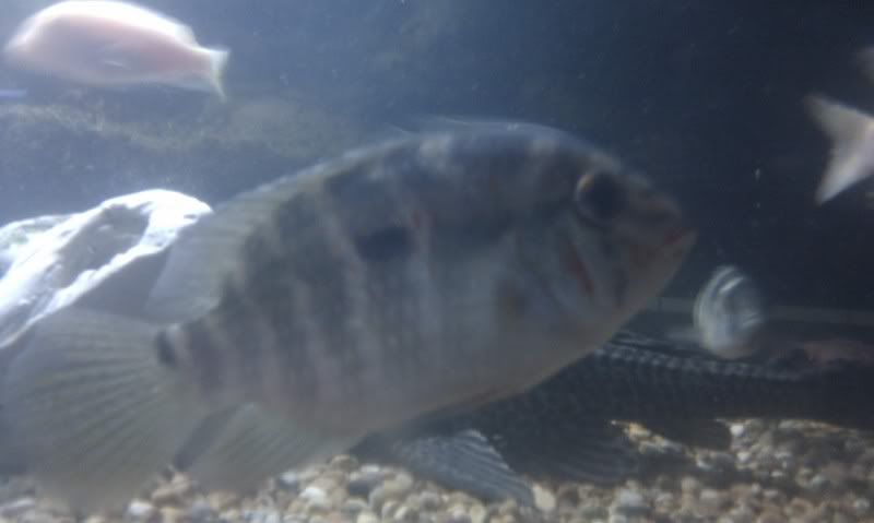 IMAG0505.jpg
